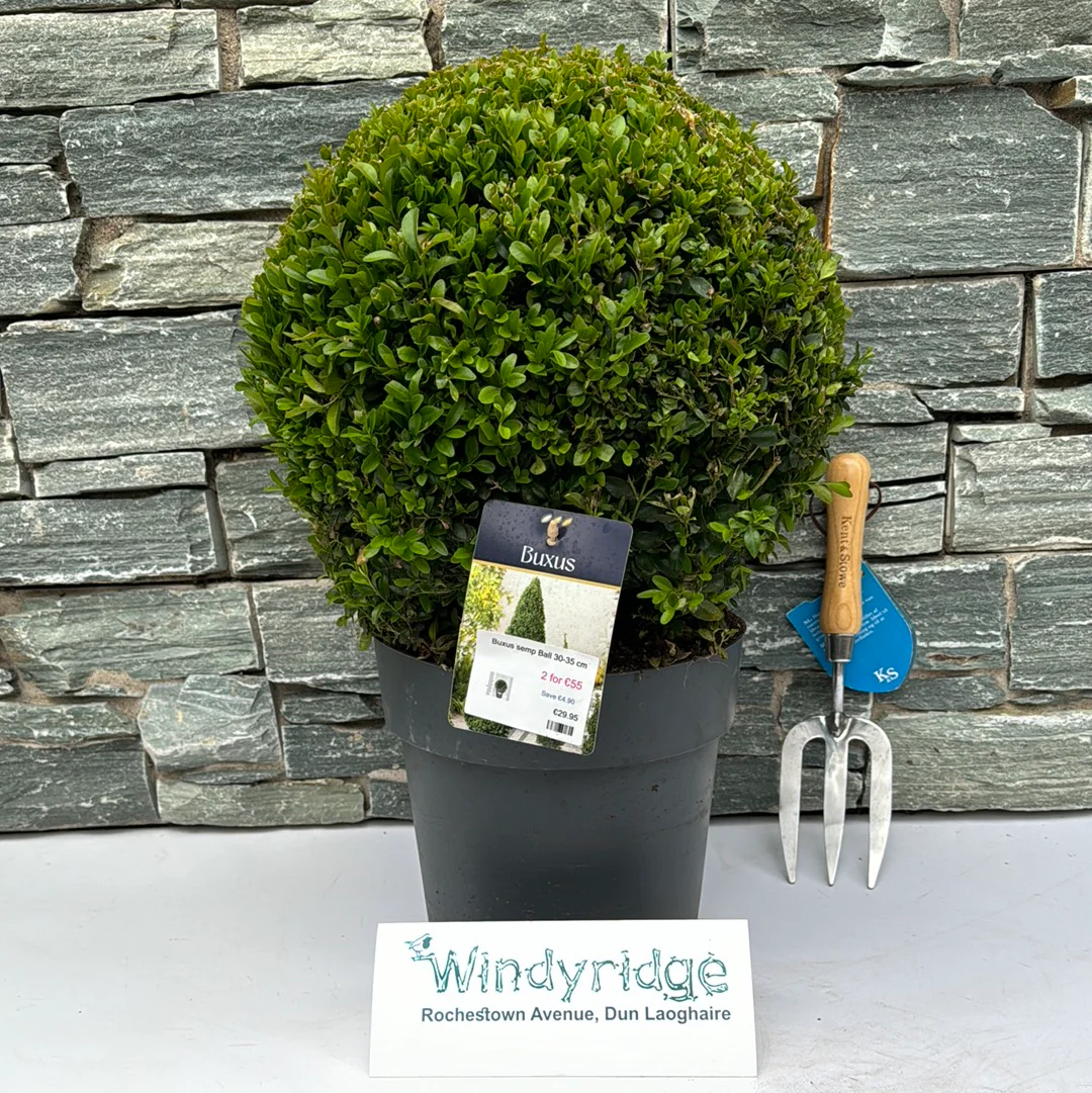 Standard Trees and Topiary